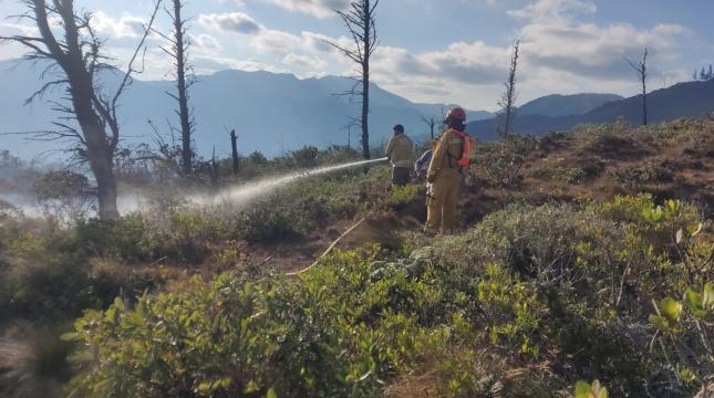 Los bomberos de 3 cantones de Loja se unieron para combatir este incendio.