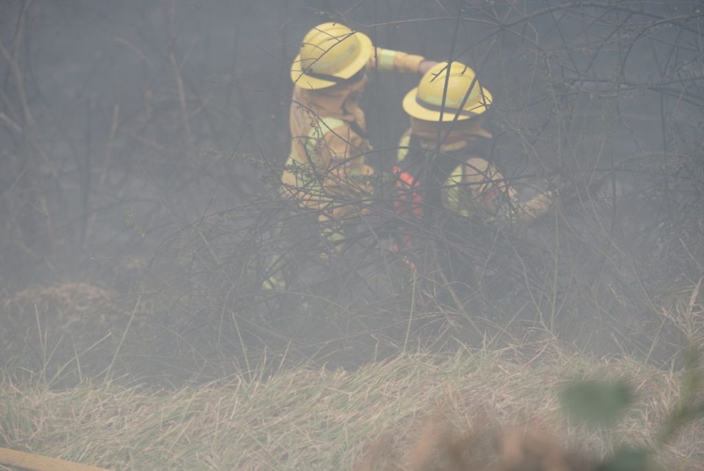 Incendio forestal en El Panecillo, Quito.