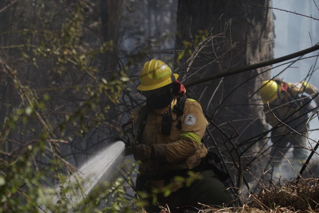 Incendio forestal en El Panecillo