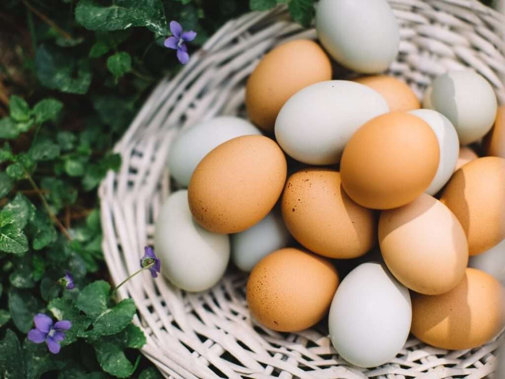 Academia Española de Nutricion y Dietetica