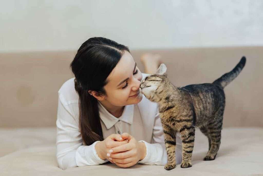 Foto: Linea Pets