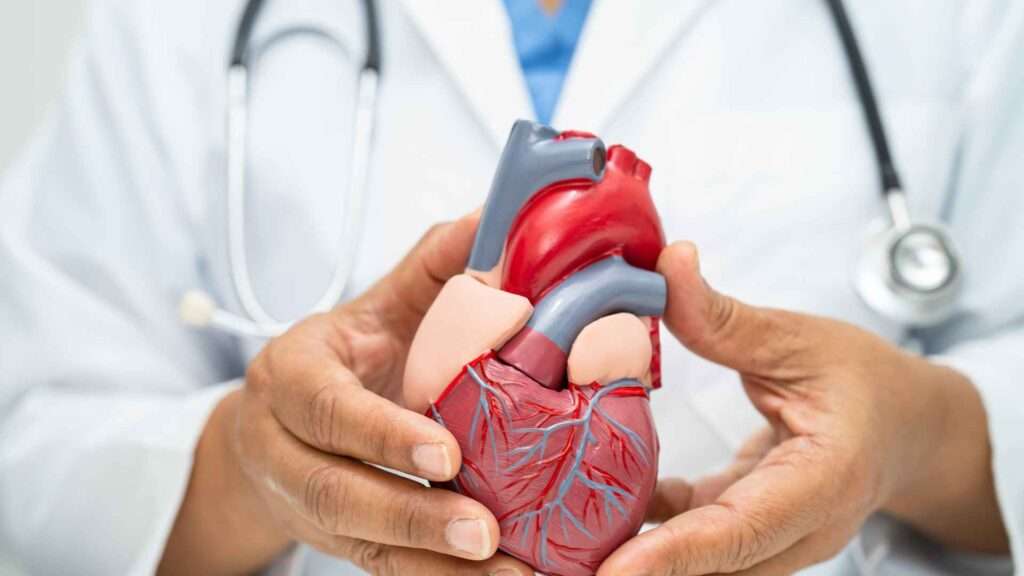 Imagen: Blog Oncosalud