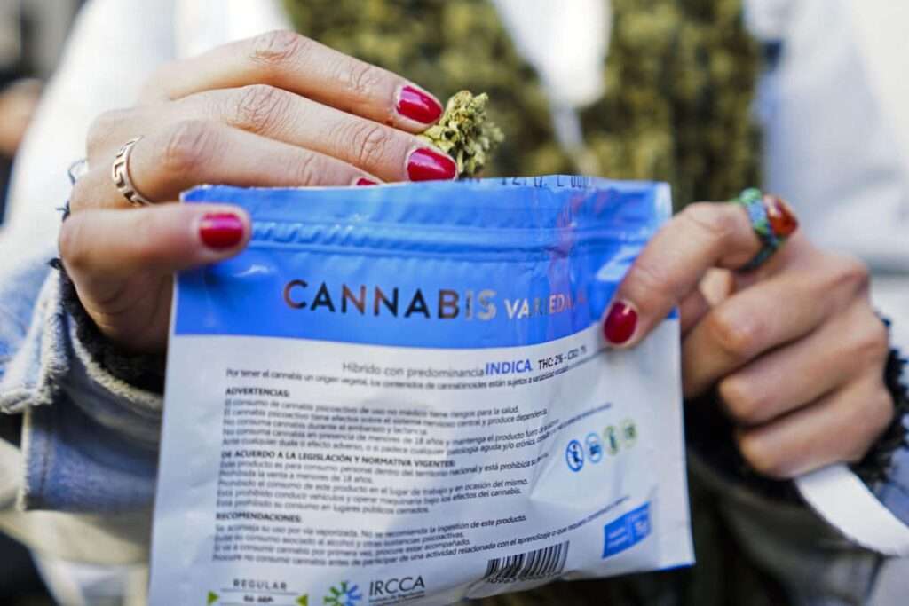 Imagen: Nación Cannabis