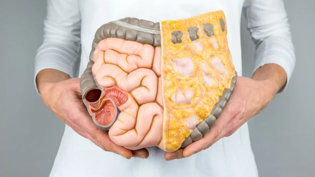 Imagen: Apta Vital Sport