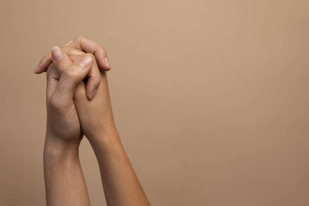 Imagen: 24Horas.cl