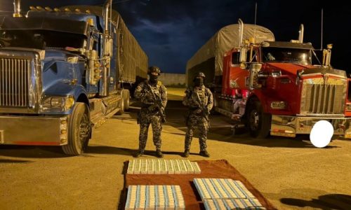 El operativo Fénix 343 permitió incautar ketamina oculta en dos tráilers que ingresaron desde Perú. Los conductores fueron capturados tras intentar escapar.